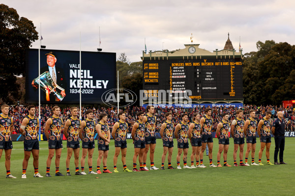 AFL 2022 Round 16 - Adelaide v Melbourne - 969225