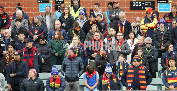 AFL 2022 Round 16 - Adelaide v Melbourne - 969230