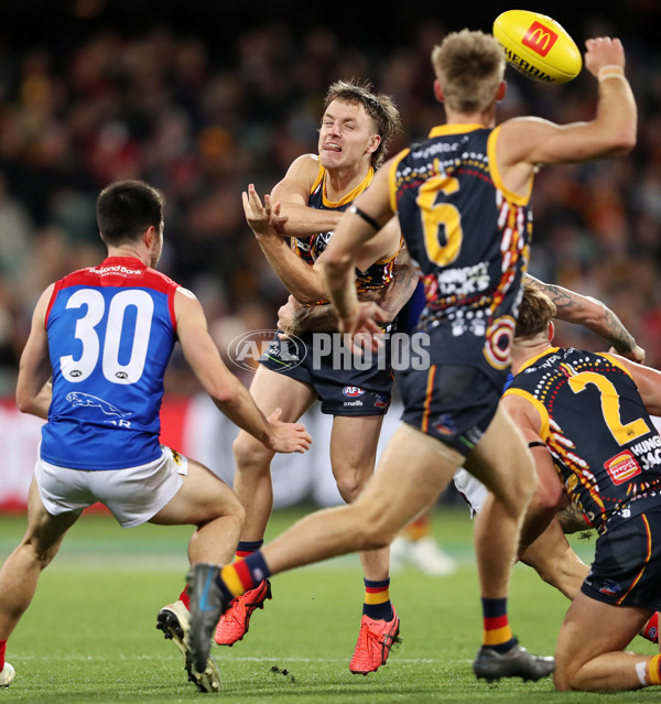 AFL 2022 Round 16 - Adelaide v Melbourne - 969389