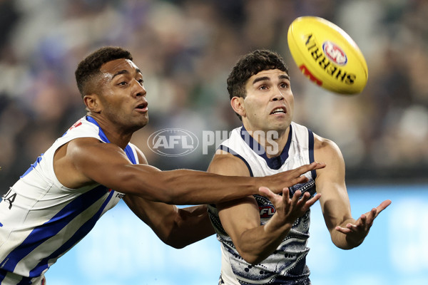 AFL 2022 Round 16 - Geelong v North Melbourne - 969686