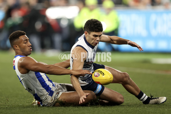 AFL 2022 Round 16 - Geelong v North Melbourne - 969690