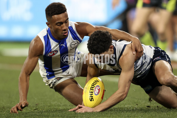 AFL 2022 Round 16 - Geelong v North Melbourne - 969689