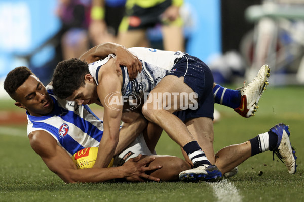 AFL 2022 Round 16 - Geelong v North Melbourne - 969693