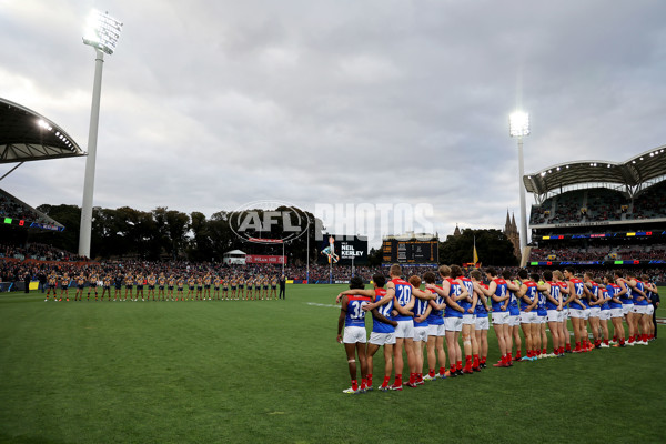 AFL 2022 Round 16 - Adelaide v Melbourne - 969918