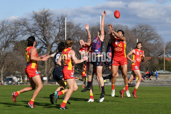 VFL 2022 Round 15 - Coburg v Gold Coast - 970228