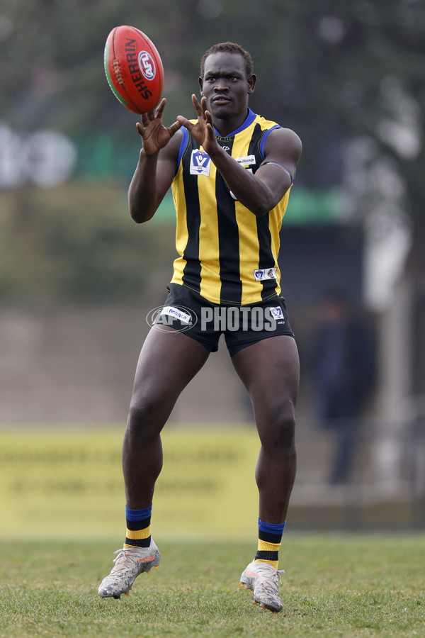 VFL 2022 Round 16 - Sandringham v Footscray - 973568