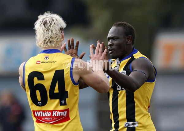 VFL 2022 Round 16 - Sandringham v Footscray - 973583