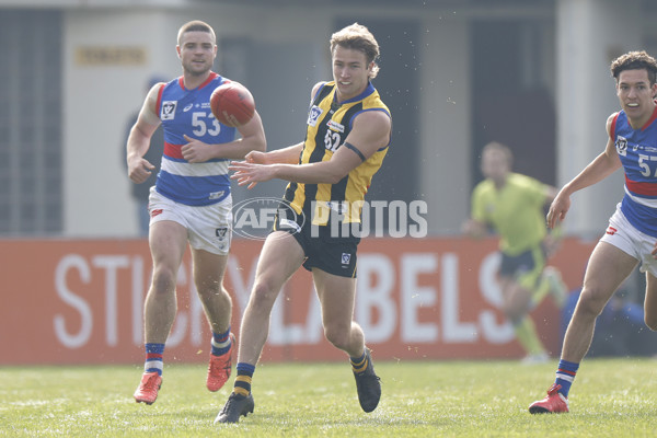 VFL 2022 Round 16 - Sandringham v Footscray - 973619