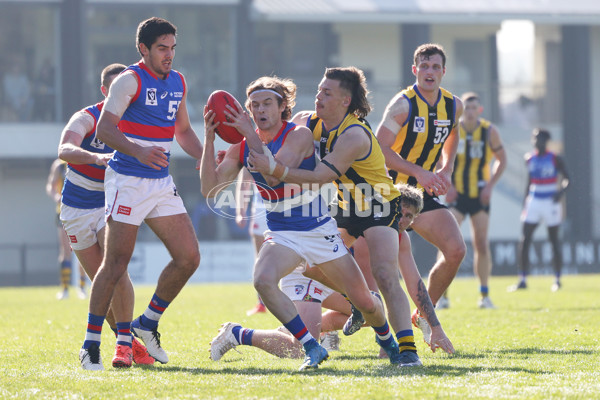 VFL 2022 Round 16 - Sandringham v Footscray - 973647