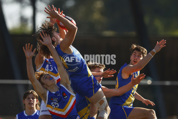 NAB League Boys 2022 - Western Jets v Eastern Ranges - 973657