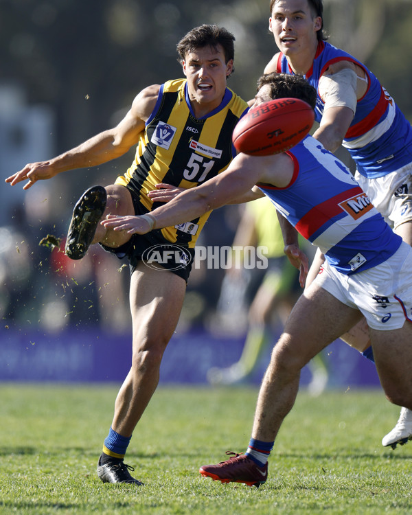 VFL 2022 Round 16 - Sandringham v Footscray - 973753