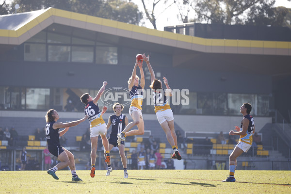 NAB League Boys 2022 - Geelong Falcons v Bendigo Pioneers - 973767