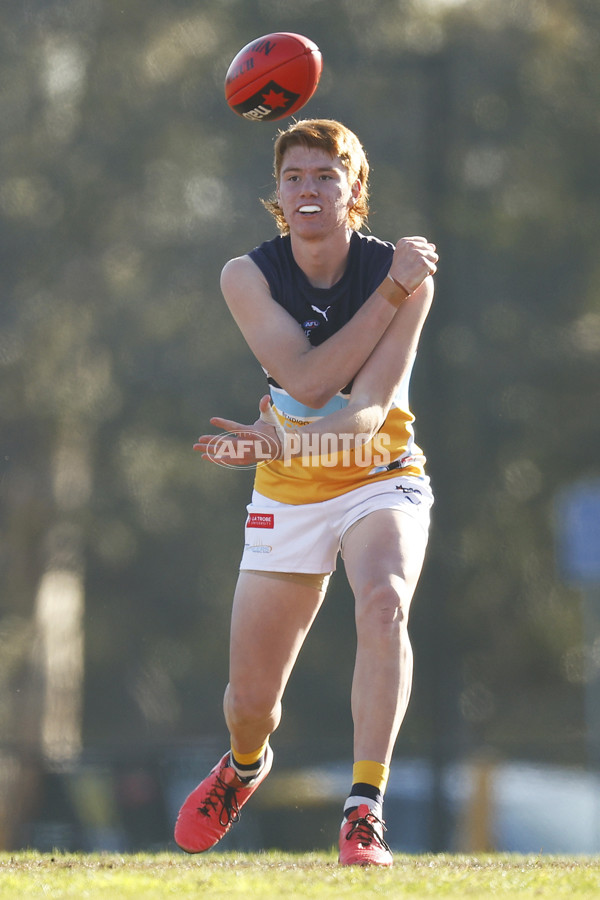NAB League Boys 2022 - Geelong Falcons v Bendigo Pioneers - 973835