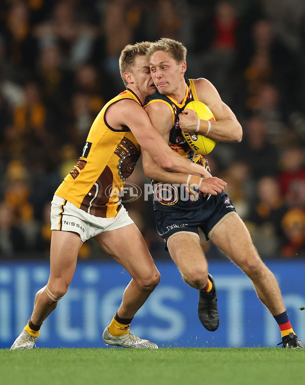 AFL 2022 Round 17 - Hawthorn v Adelaide - 973892