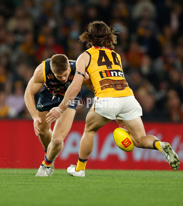 AFL 2022 Round 17 - Hawthorn v Adelaide - 973905