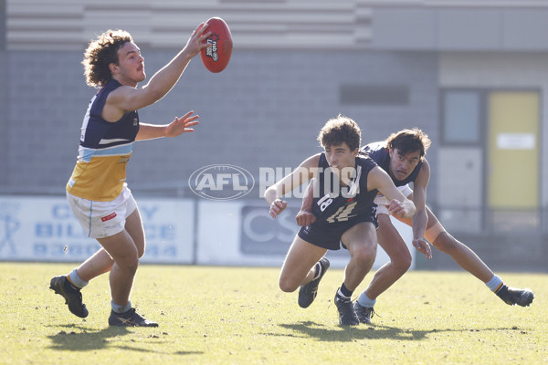 NAB League Boys 2022 - Geelong Falcons v Bendigo Pioneers - 973973