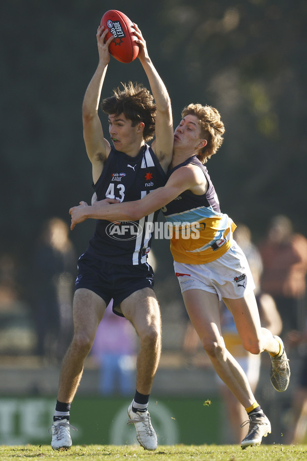 NAB League Boys 2022 - Geelong Falcons v Bendigo Pioneers - 973965