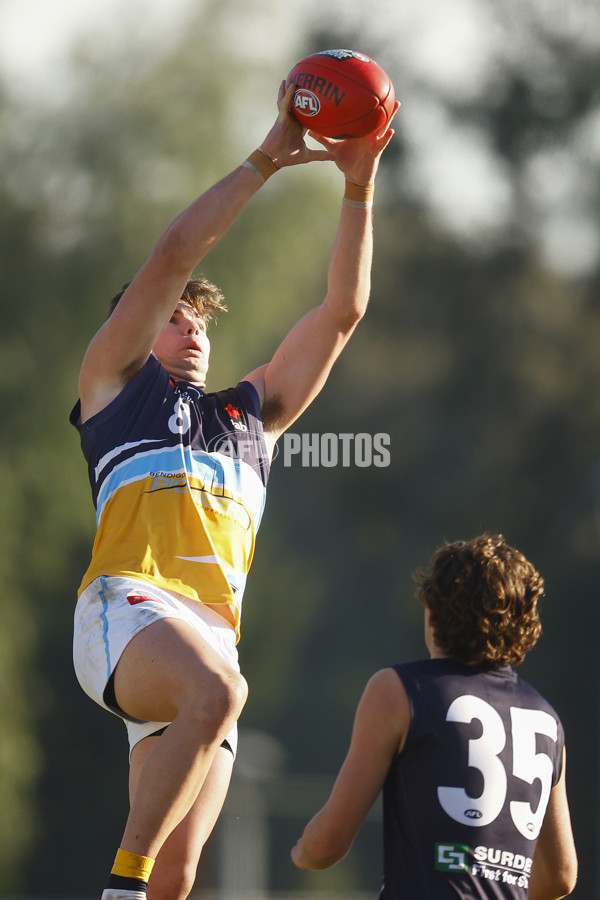 NAB League Boys 2022 - Geelong Falcons v Bendigo Pioneers - 973979