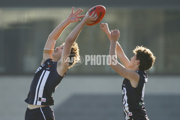 NAB League Boys 2022 - Geelong Falcons v Bendigo Pioneers - 973986