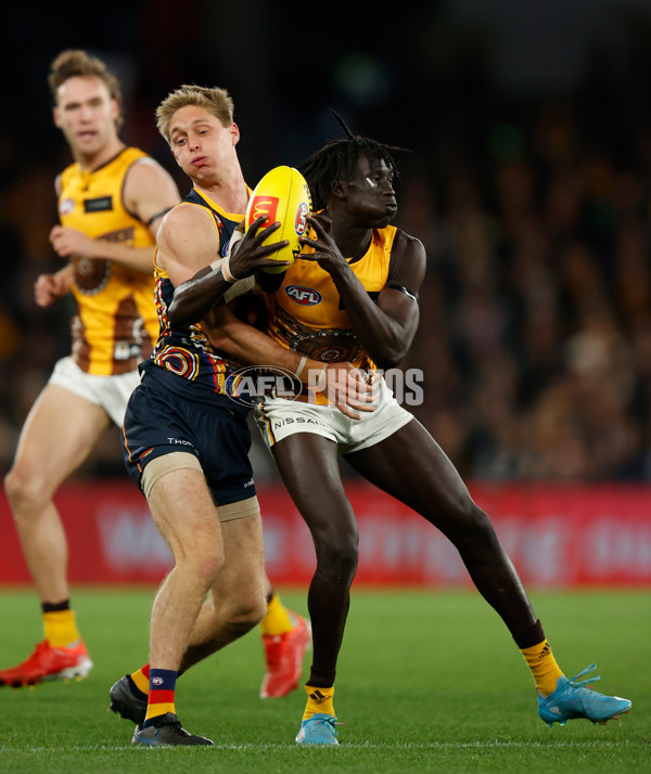 AFL 2022 Round 17 - Hawthorn v Adelaide - 974094