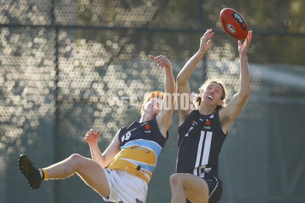 NAB League Boys 2022 - Geelong Falcons v Bendigo Pioneers - 973989