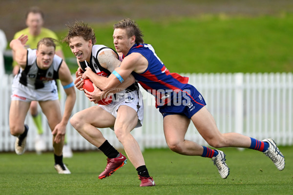 VFL 2022 Round 17 - Port Melbourne v Collingwood - 976500