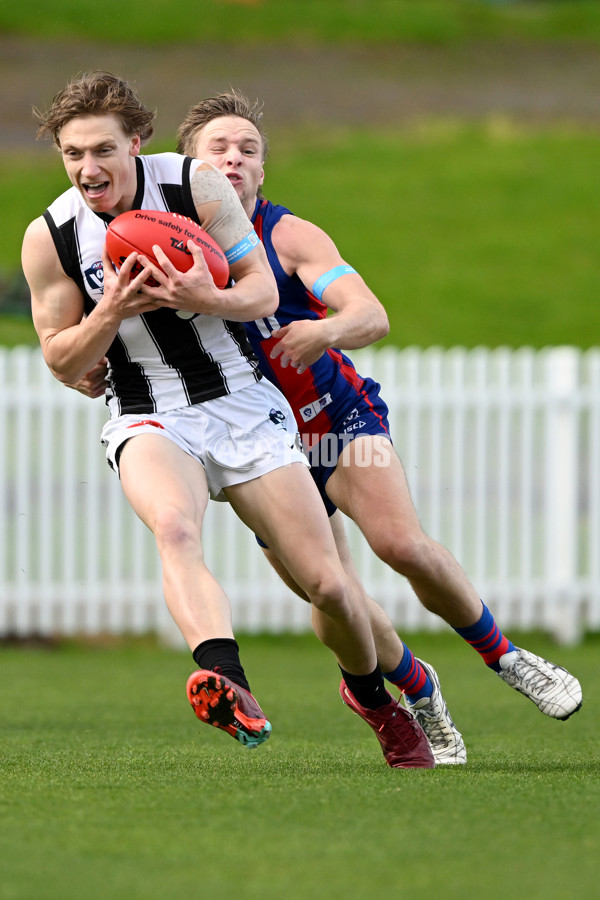 VFL 2022 Round 17 - Port Melbourne v Collingwood - 976499