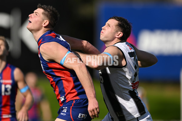 VFL 2022 Round 17 - Port Melbourne v Collingwood - 976516