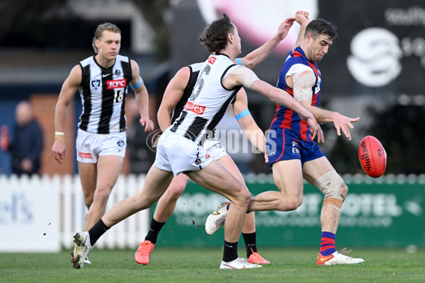 VFL 2022 Round 17 - Port Melbourne v Collingwood - 976569