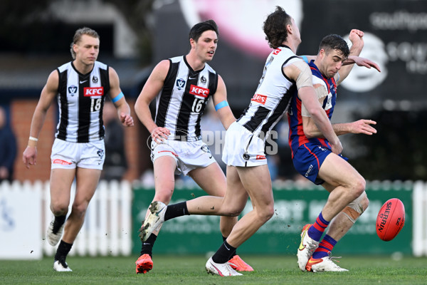 VFL 2022 Round 17 - Port Melbourne v Collingwood - 976572