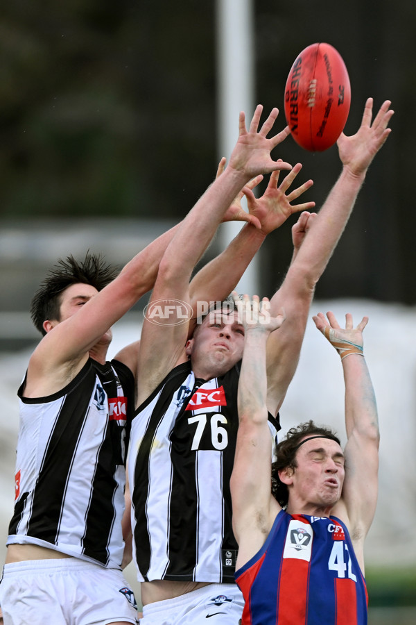 VFL 2022 Round 17 - Port Melbourne v Collingwood - 976579