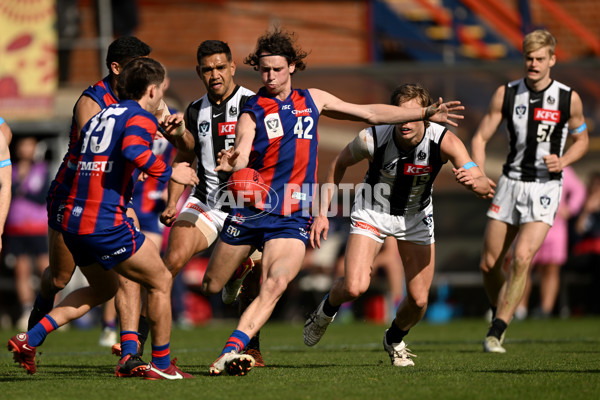 VFL 2022 Round 17 - Port Melbourne v Collingwood - 976612