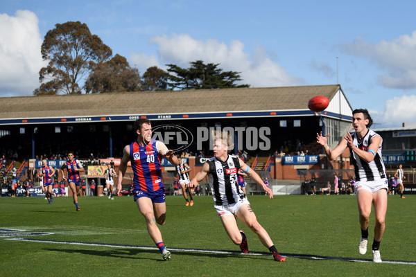 VFL 2022 Round 17 - Port Melbourne v Collingwood - 976617