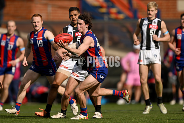 VFL 2022 Round 17 - Port Melbourne v Collingwood - 976613