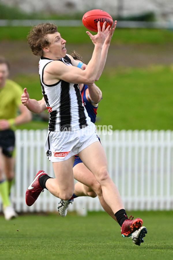 VFL 2022 Round 17 - Port Melbourne v Collingwood - 976493