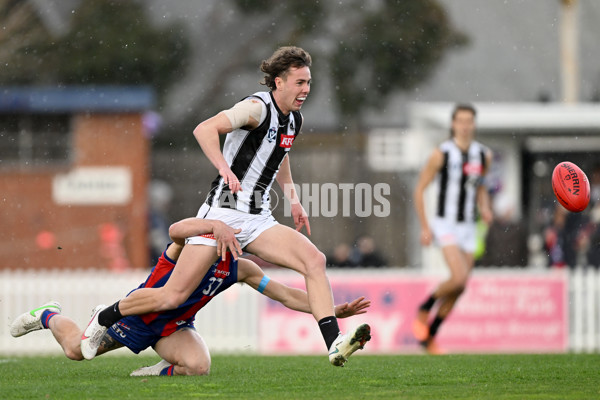 VFL 2022 Round 17 - Port Melbourne v Collingwood - 976488