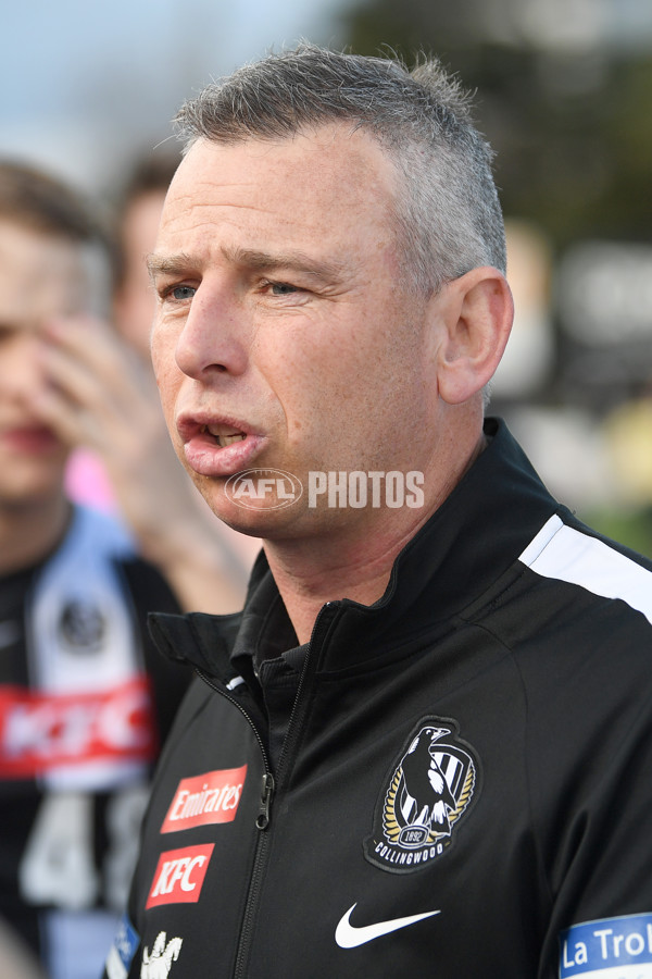 VFL 2022 Round 17 - Port Melbourne v Collingwood - 976528