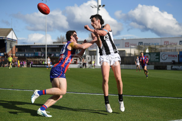 VFL 2022 Round 17 - Port Melbourne v Collingwood - 976608