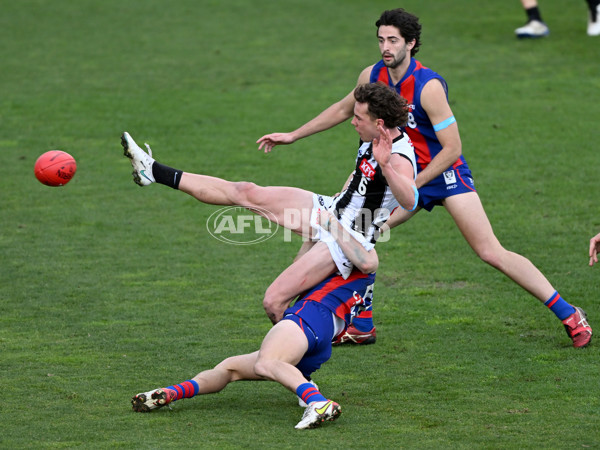 VFL 2022 Round 17 - Port Melbourne v Collingwood - 976651