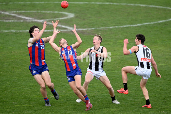 VFL 2022 Round 17 - Port Melbourne v Collingwood - 976660