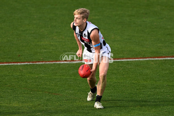 VFL 2022 Round 17 - Port Melbourne v Collingwood - 976689