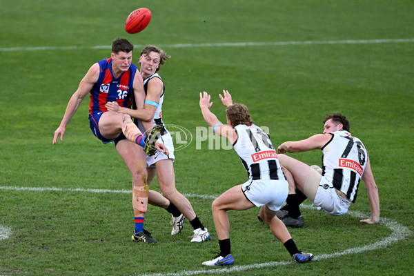 VFL 2022 Round 17 - Port Melbourne v Collingwood - 976655