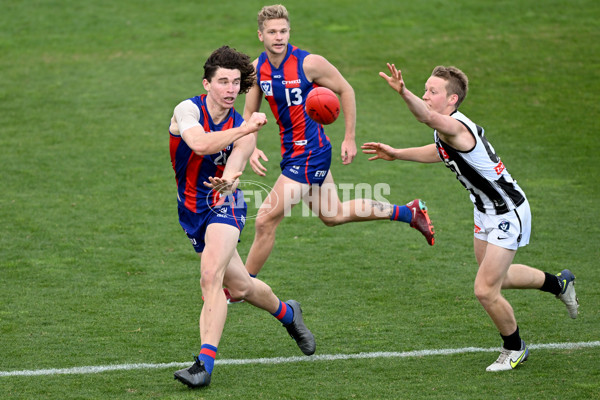 VFL 2022 Round 17 - Port Melbourne v Collingwood - 976659