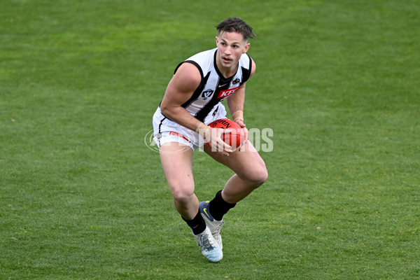 VFL 2022 Round 17 - Port Melbourne v Collingwood - 976653