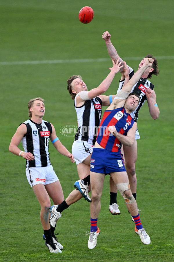 VFL 2022 Round 17 - Port Melbourne v Collingwood - 976650