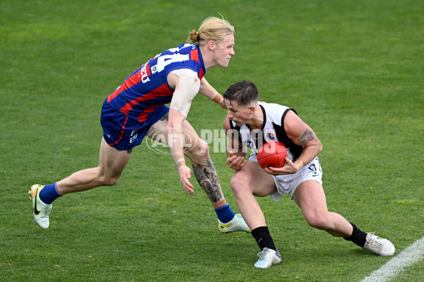 VFL 2022 Round 17 - Port Melbourne v Collingwood - 976652