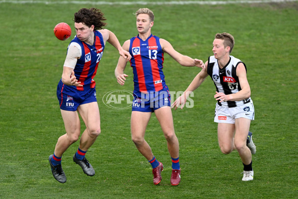 VFL 2022 Round 17 - Port Melbourne v Collingwood - 976654