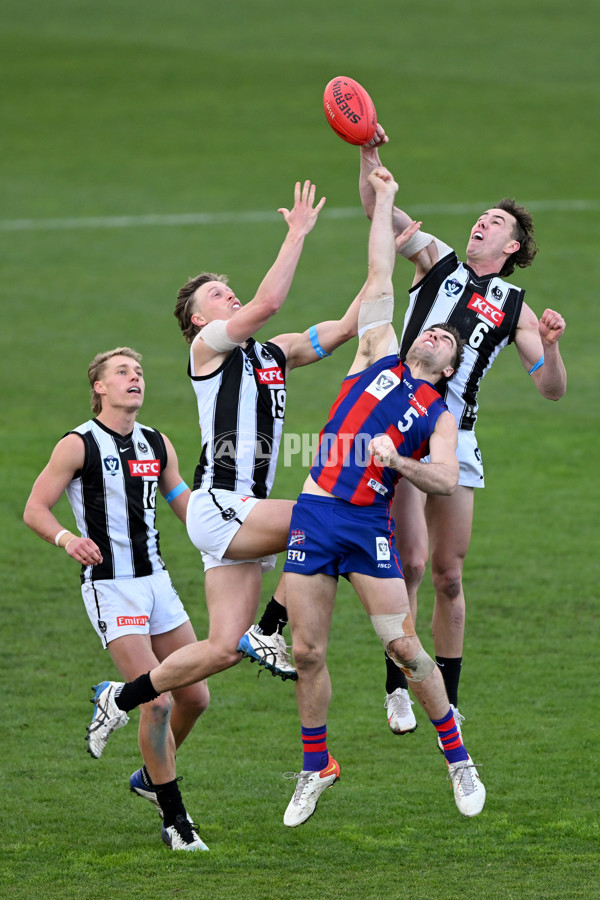 VFL 2022 Round 17 - Port Melbourne v Collingwood - 976658