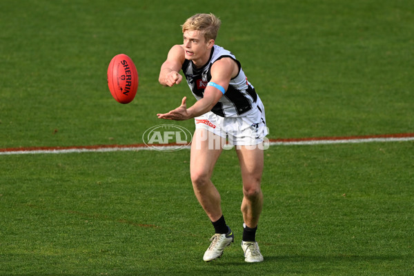 VFL 2022 Round 17 - Port Melbourne v Collingwood - 976695