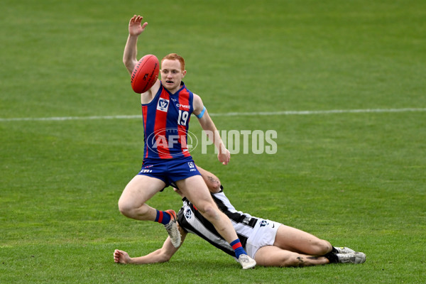 VFL 2022 Round 17 - Port Melbourne v Collingwood - 976711